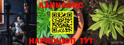 стаф Кудрово