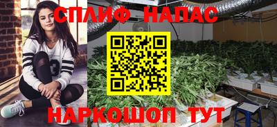 эйфоретик Бугуруслан