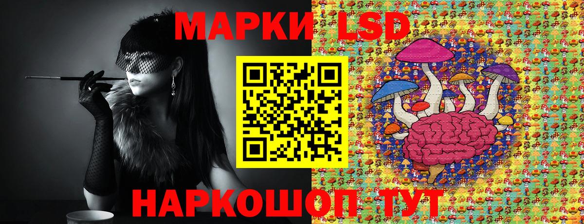 Наркотические марки 1,5мг  Наркотические марки 1,5мг  Вход с VPN  Курчалой 