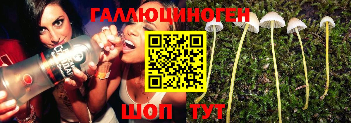Галлюциногенные грибы мицелий  Вход с VPN  Курчалой 