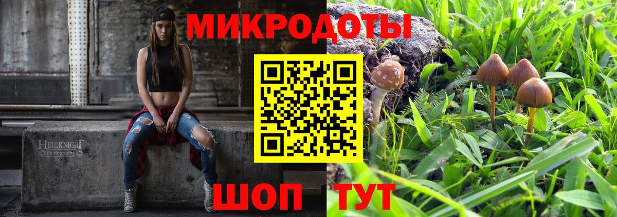 Галлюциногенные грибы прущие грибы Курчалой