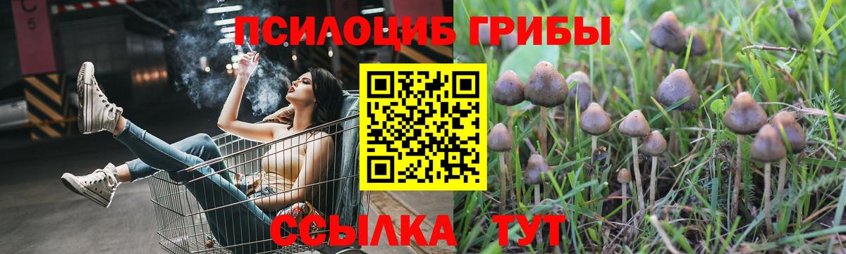 Меф Курчалой