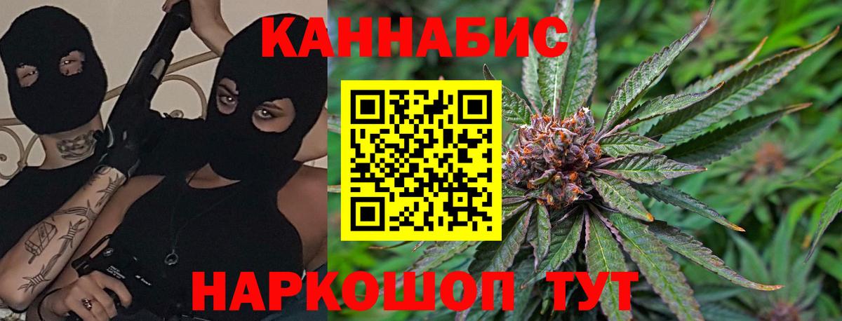 Шишки марихуана планчик Курчалой
